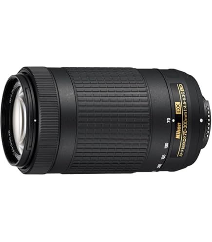Nikon AF-S DX Nikkor 55-300mm F/4.5-5.6G ED VR Telephoto Zoom Lens 