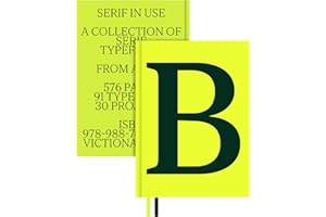 Serif In Use: Creative Typefaces and their Applications /anglais