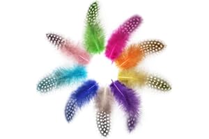SAMHENG Plumes de Pintade, Paquet de 100 Plumes Mouchetées Naturelles pour Bricolage Art Artisanat Collage Coiffure Maison Mariage Anniversaire Décoration de Fête
