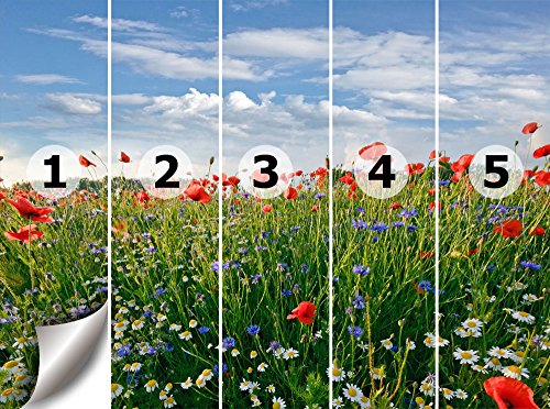 Fototapete Blumenwiese KT493 Größe: 350x260cm Feld Sommer Blüten - 3