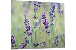 Wallario Herdabdeckplatte/Spritzschutz aus Glas, 1-teilig, 60x52cm mit 13mm hohen Füßen, für Ceran- und Induktionsherde, Lila Blumenfreude - Violette Pflanzen auf der Wiese