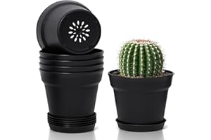 ‎T4U T4U 12,5cm Kunststoff Blumentopf mit Untersetzer, 6er-Set Plastik Übertopf Kräutertopf mit Mehrere Ablauflöchern, Rund Pflanzkübel für Innen und Balkon Sukkulenten Kaktus, Schwarz