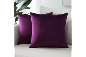 Sungeek Confezione da 2 Federe in Velluto, Fodere per Cuscini Decorativi Morbidi Copricuscini Divano di Lusso per Divano Letto Soggiorno Camera da Letto (60x60cm, Viola)