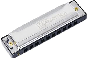 Albert Austin Harmonica Stainless Steel Adults Kids Harmonica for Beginners Students Professionals 10 Holes C Tuned Mouth Organ Musical Instrument for Folk Music Lovers Holiday Parties Birthdays