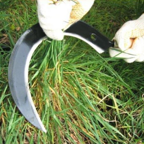 Sichel Handsichel Sense Handsense Kleinsense 20cm F22
