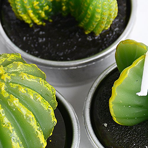 Lot-de-6-Cactus-Bougies-en-Paraffine-et-3-Formes-avec-Support-de-Bougie-Bougies-Chauffe-Plat-pour-Nol-Fte-Mariage-ou-Deco-Maison2pcs-par-Chaque-Forme