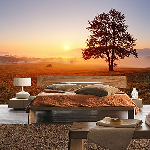 Vlies Fototapete 400×280 cm – Top ! PREMIUM PLUS Foto Tapete ! Wandbilder XXL Wandbild Bild Fototapeten Tapeten Wandtapete Wanddeko Wand Sonnenaufgang Baum Natur – no. 238 - 8