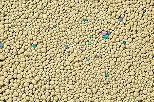 The Pets Company Natural Clay Scoopable Clumping Bentonite Cat Litter, 5 Kg