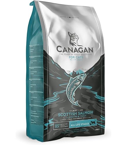 CANAGAN DRY CAT FOOD DENTAL FREE RUN TURKEY FOR KITTENS