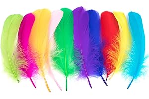 Suneast 100 Stücke Federn Dekoration Natürliche Gänsefedern Weiche Crafts Feather Indianer Federn für Traumfänger Basteln, Kostüme Hüte Schmuck Deko, DIY Ohrring - Bunt, 15-20cm