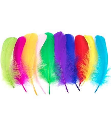 250 Plumes Naturelles Colorées Pour Loisirs Créatifs - 3 Tailles - Rouge - Idéal Bricolage, Mariage, Décoration
