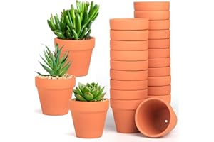 FAINCA 20 Stück Tontöpfe Klein 4x4,5 cm Terrakotta Topf mit Abflussloch Terracotta Blumentopf Wiederverwendbar Kleine Tontöpfe zum Basteln Mini Blumentöpfe Tontopf Blumentopf für Mini Pflanzen Töpfe