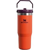 Stanley IceFlow Flip Straw Tumbler Pipetli Termos Bardak, 0.89 L