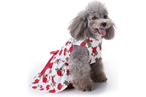 PETCUTE Robe de Chien,Jupe de Chiot Vêtements de Chien Robes de Princesse Tutu,Robe de Mariée pour Chien,Robe de Chien de Chiot,Jupe pour Chien de Compagnie,Jupe Chien Chat,Convient pour Les fêtes
