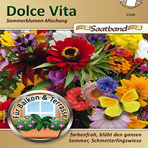 Dolce Vita Sommerblumen Mischung Saatband für Balkon & Terrasse farbenfroh blüht den ganzen Sommer Schmetterlingsweide 53060