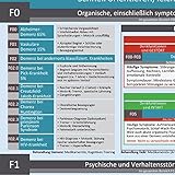 Image de ICD-10 (F) Navigator Duo-Set komplett (2017) - Ideal zur Prüfungsvorbereitung für Heilpr
