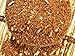 Produktbild Rooibos Ingwer Rooibuschtee, leichte Schärfe, frei von künstlichen Zusatzstoffen, 100g - Bremer Gewürzhandel