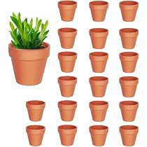 24 Mini-Tontöpfe 6,4 Cm – Terrakotta Mit Drainageloch, Für Sukkulenten, Kakteen, Kräuter & DIY-Projekte