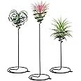 VILLCASE 3pcs Air Plant Holder, Airplants Rack Metal Plants Stand, Air Plant Container Tillandsia Holder, Geometric Tabletop Decor for Displaying Small Air Plant