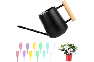 JOLIGAEA 1L Gießkanne Zimmerpflanzen, Edelstahl Schwarz Gießkanne, kleinere Topfpflanzen Edelstahl, Giesskanne mit Langem Auslauf,Kleine Blumen Giesskanne Topfpflanzen für Wohnung Büro Sukkulenten Innen