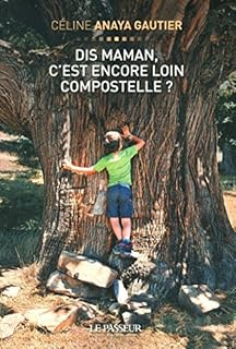 jaquette livre Dis maman, c'est encore loin Compostelle ?