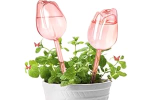 SL-JIJI Premium Glass Plant Watering Bulbs - Automatic Self-Watering Globes for Indoor & Outdoor Plants - Decorative Watering Dripper Devices for Hanging Baskets, Terrariums & Succulents (2pcs)