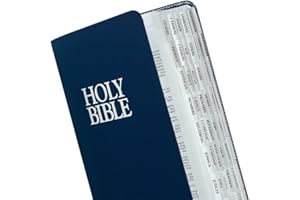 Tabbies Silberkantige Bibelindexiertabs, Altes & Neues Testament, 80 Registerkarten inkl. 64 Bücher & 16 Referenzreiter (58339), Silberrand (80 Tabs), 1 Stück