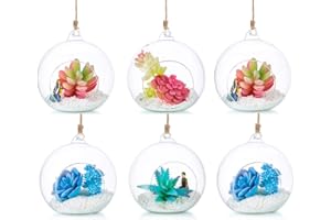 GLASSEAM Plantas Colgantes de Aire 6 Piezas Portavelas de 4.72 Inches Cristal Terrario Portavelas Contenedores de Plantas de Vidrio para el Diseño de Bricolaje de Jardín de Bodas en Casa