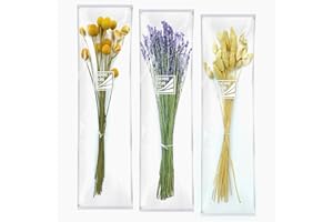 DIEMME FIORI | Assortimento 3 Bouquet di Lavanda, Craspedia, Phalaris Naturali Essiccati, Lungo Periodo di Conservazione, Ideale per Decorare ogni Ambiente, 40g / 120g
