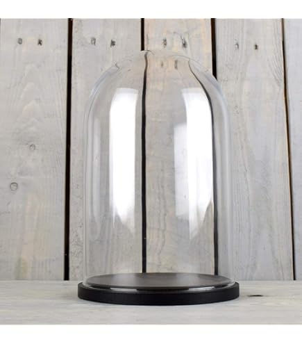 Belle Vous 3 Pak Glazen Stolp Potten met Houten Kurken Basis