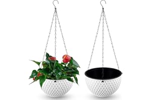 ZEWOOL WZYTEU HUAPEN01 - 2 colgantes colgantes de plástico con orificio de drenaje y cadenas inoxidables para interiores y exteriores, decoración de balcones, 21 cm