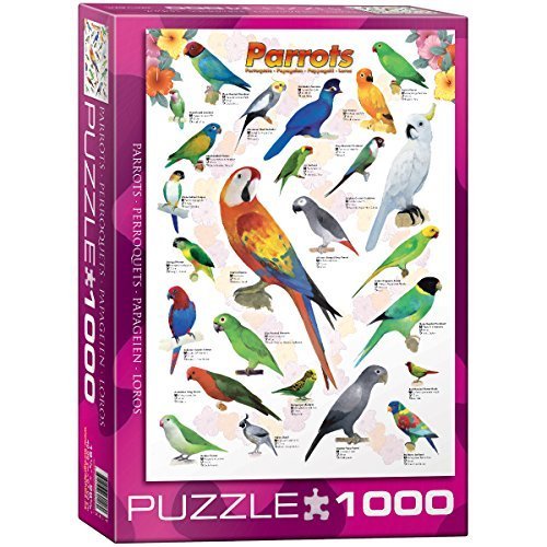 Preisvergleich Produktbild Einstein Imagination 1000 Piece Puzzle by Eurographics