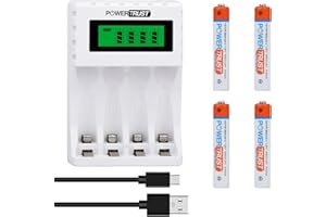 PowerTrust 4 batterie AAAA ricaricabili con caricabatterie per Surface Pen NI-Mh LR8D425