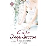 Der Himmel so fern: Roman