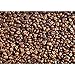 Produktbild Vlies Fototapete PREMIUM PLUS Wand Foto Tapete Wand Bild Vliestapete - Kaffee Bohnen Braun - no. 176 Kaffee Kaffeebohnen Braun Aromatisch, Größe:200x140cm Vlies