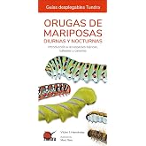 Orugas de mariposas diurnas y nocturnas