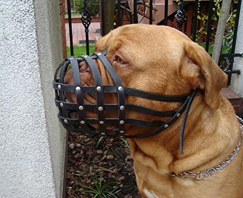 Light-leather-Dog-Muzzle-for-Dogue-de-Bordeaux-and-Bullmastiff-and-Other