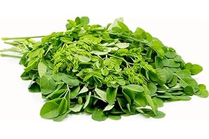 VEENAS Fresh Drumstick Leaves Bunch | Moringa Leaf | Murungai Keerai | Oleifera Drumstick | Perfect for Vegans and Vegetarian | Indian Origin | Approx 250G