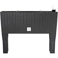 Deuba Hochbeet mit Bewässerungssystem 60 x 25 x 46cm 30 Liter Blumenkasten Blumentopf Pflanzkübel Poly Rattanoptik…