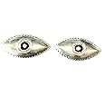 Shree Jewellers Silver eyes for pooja/chandi ki aankh/Eye for Astrological and Lal Kitab Remedy ~ 2 pcs in packet