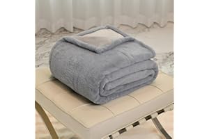 ‎DREAMLANDING DREAMLANDING Elektrische Heizdecke Single120 x 160cm, um Körper warm zu halten Maschine Waschbar Weiches Kunstfell Werfen 4 Wärmestufen