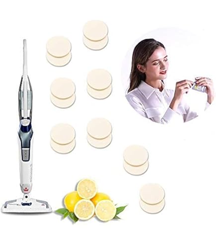 Serpillères De Rechange BISSELL Pour Vac&Steam 1977N Et 1252 - Lot De 2 Tampons Microfibres