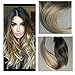 Full Shine 18" 10 Pcs 120g Full Set Clip in Hair Extensions Ombre Balayage Human Hair Clip in Human Hair Extensions Colour #2 Fading to Colour #6#18 Ash Blonde Hair Extensions Human Hair