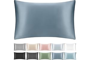 SILKTALE 100% Mulberry Silk Toddler/Travel Pillowcase,Both Sides 19MM Small Silk Pillow Case with Hidden Zipper for Kids/Baby 1pc, Ash Blue,13"x18"
