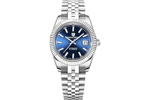 PAGRNE DESIGN Pagani Design Montre Automatique pour Homme Mouvement Japonais Boîtier en Acier Inoxydable Verre Saphir Cadran Or Montre de Luxe PD 1645