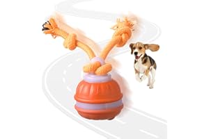 Dumgeo Interactive Dog Ball Toys, Smart Interactive Dog Toys for Boredom, Automatic Active Rolling Ball with Tail for Dogs, Motion Activated Toy Balls for Puppy Small Medium Dogs (Orange)