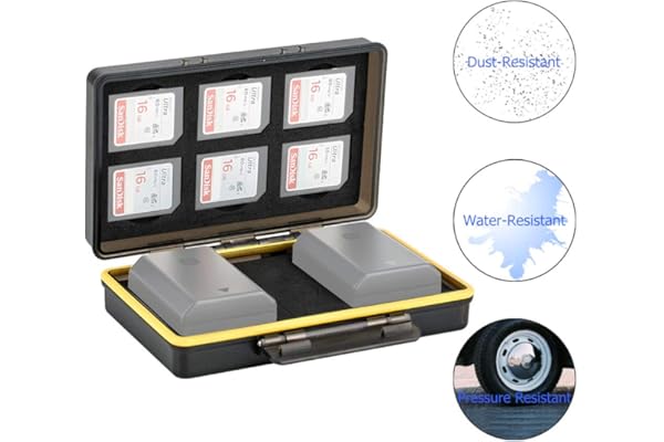Étui pour Cartes Mémoire SD Adapté pour 6 Cartes SD et 2 Batterie Canon LP-E6 LP-E8 LP-E12 LP-E17 NB-13L / Sony NP-FZ100 NP-FW50 NP-BX1 / Fujifilm NP-W126 NP-W126S NP-95 / Nikon EN-EL15 EN-EL14