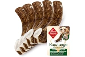 ChronoBalance® Bâton XXL (Lot de 5) à mâcher en Bois de cerf pour Chiens: Jouet Naturel à mastiquer, 100% Bois de cerf, favorisant l'hygiène Dentaire, sans additifs, Durable