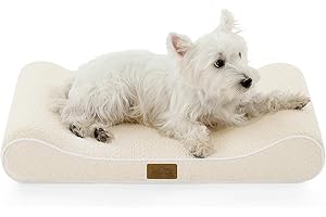 COZY KISS Cuccia per Cani Lavabile, 76x50x12cm, con Bordo Rialzato - Materasso Ortopedico per Cani a Forma di Barca, Impermeabile e Antiscivolo, Adatto ad Animali Domestici fino a 16kg, Beige