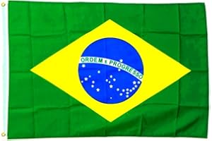 FLAGGENFRITZE Drapeau du Brésil XXL 150 x 250 cm